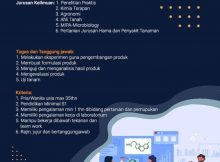 Lowongan Kerja Medan